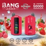 BANG Leader 50000 Puffs Dual Flavor – widok produktu