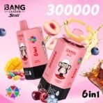 Bang Leader 300K Puffs Disposable Vape 6 in 1 - obrazek 8