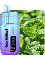 Merry Mi Mecha X 36000 Puffs – jednorazowy vape 36K z Turbo Mode - obrazek 9