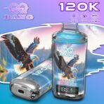 QQ Bang 120K Puffs Blueberry Red Raspberry – urządzenie i opakowanie wariantu owocowego