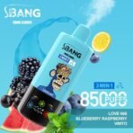 Bang Leader 85K Puffs 3w1 – Love 666, Blueberry Raspberry i Vimto